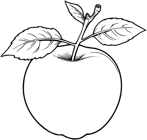 apple-fruit-coloring-page-8448450