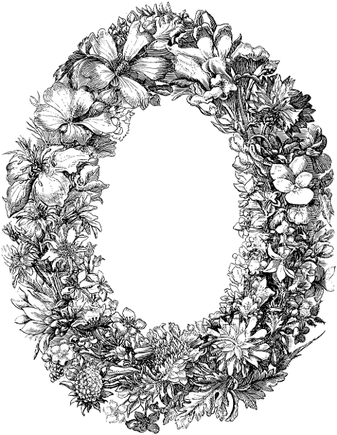frame-wreath-decorative-border-6345164