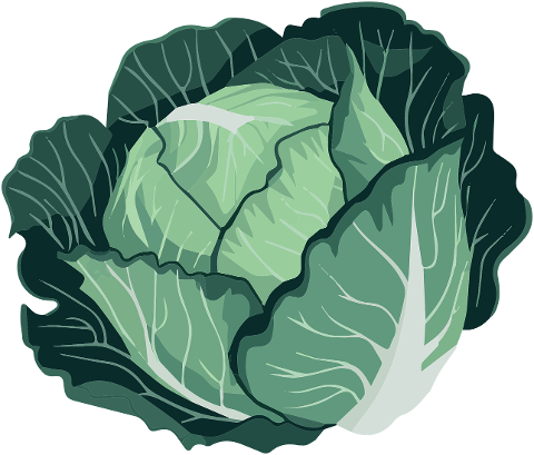 ai-generated-cabbage-green-cabbage-9561566