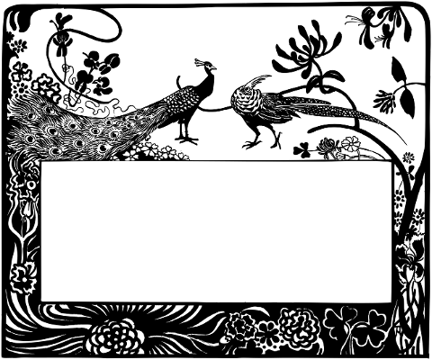 frame-border-peacocks-pheasants-7166320