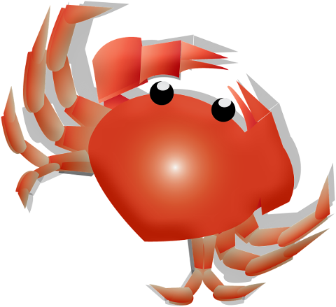 crab-beach-ocean-sea-sand-summer-5145722