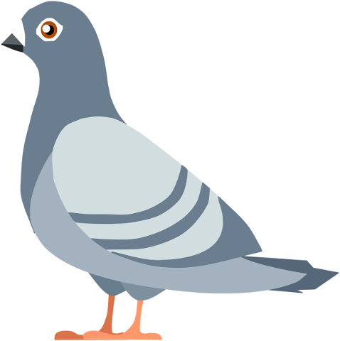 pigeon-bird-flying-peace-cartoon-4833070