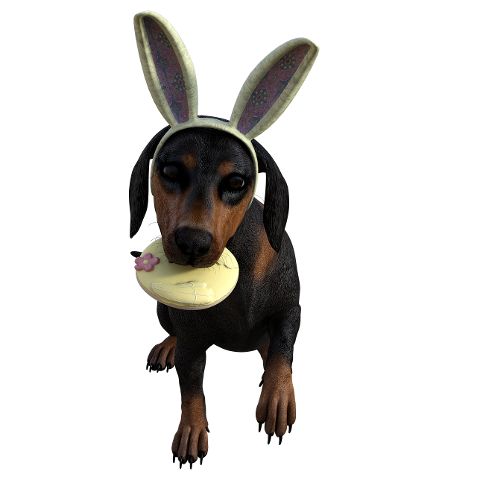 dog-easter-doggy-easter-bunny-4566321