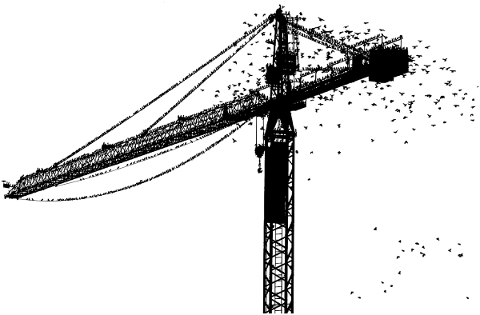 crane-birds-silhouette-construction-5188677
