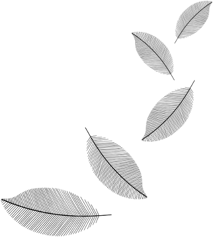 leaves-foliage-line-art-decorative-5640107