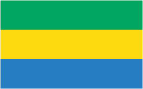 gabon-flag-country-gabonese-4886333
