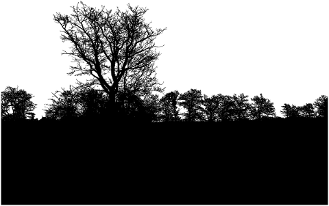 trees-forest-branches-silhouette-5813022