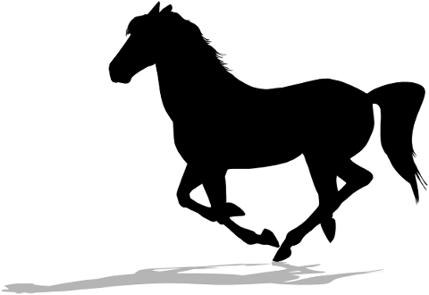 horse-silhouette-shadow-trotting-4900852