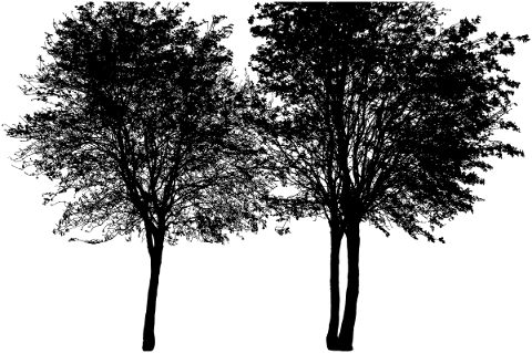 tree-landscape-silhouette-plant-5319164