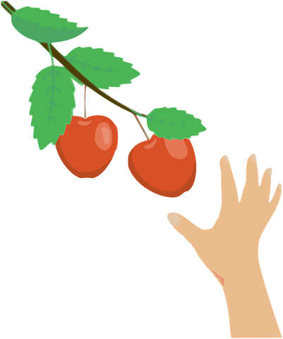 apples-branch-hand-picking-fruit-5782360