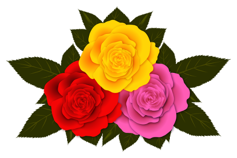 roses-flowers-bouquet-petals-5560268