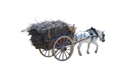 wagon-transport-old-vintage-5178850