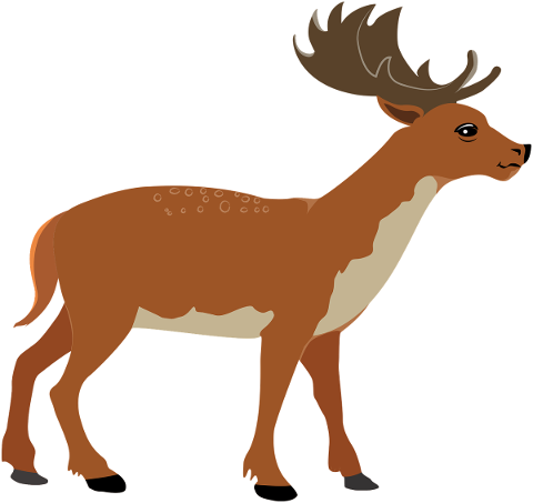 animal-deer-icon-wild-antlers-5821696