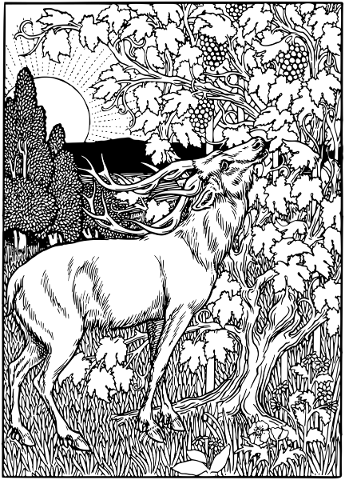 deer-animal-line-art-wildlife-stag-5216059