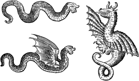 dragon-animal-line-art-drake-beast-5221281
