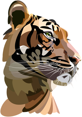 tiger-icon-wild-cat-wild-animal-5631003