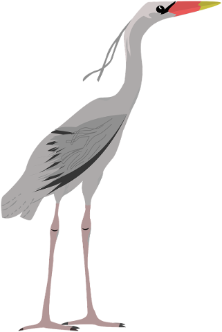 animal-egret-icon-wild-bird-5821707