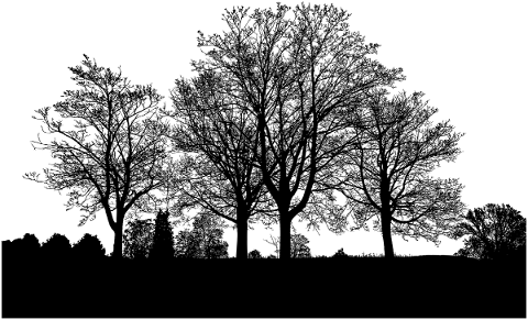trees-landscape-silhouette-plant-4806872