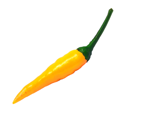 chili-hot-pepper-food-chilli-4656603