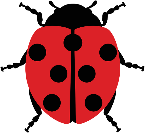 ladybug-ladybird-beetle-bug-beetle-5591395