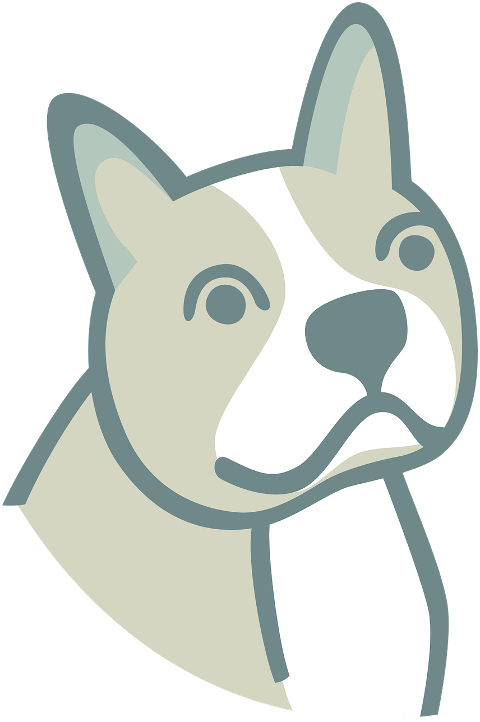 french-bulldog-dog-animal-pet-9251888