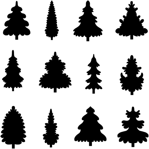 trees-tree-conifers-needles-strain-5553631