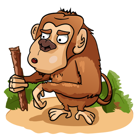 toque-monkey-chimpanzee-stick-4703472