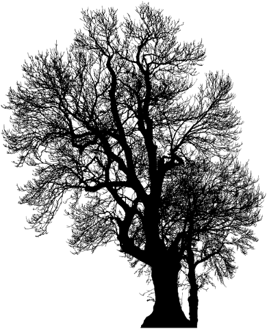 tree-landscape-silhouette-plant-5202304