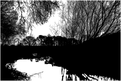 forest-trees-silhouette-river-5081303