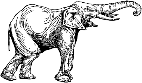 elephant-vintage-line-art-animal-5180227