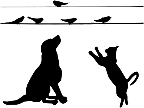 dog-cat-birds-silhouettes-wire-5592640