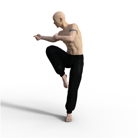 kung-fu-pose-fighter-wushu-action-4938640