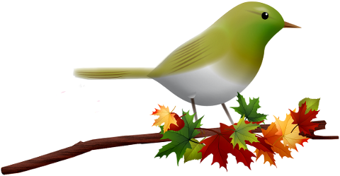 bird-on-branch-autumn-bird-wildlife-4892645
