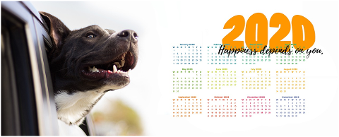 calendar-joy-dog-happy-auto-head-4565243