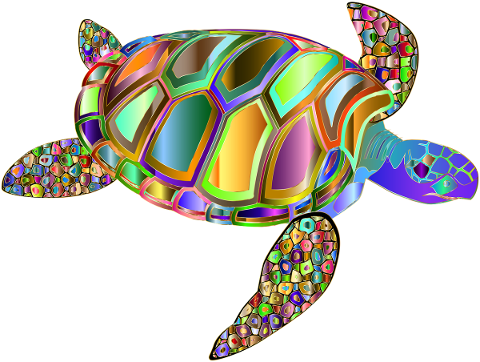 turtle-tortoise-animal-decorative-5237854