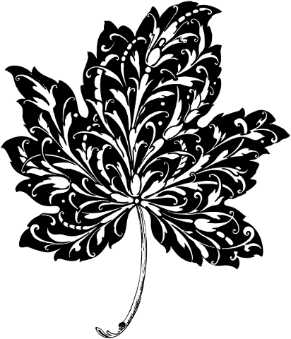 leaf-floral-silhouette-line-art-5770999
