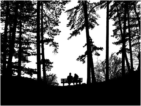 couple-trees-lake-park-bench-8540979