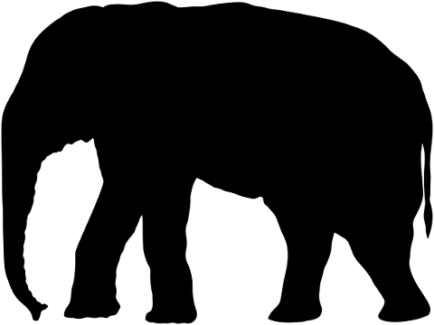elephant-animal-silhouette-5198135