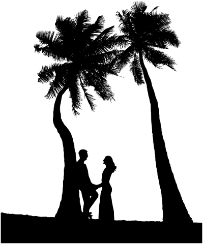 couple-palm-trees-silhouette-5733500