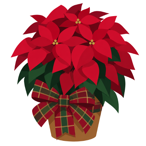 christmas-decoration-christmas-flower-10453563