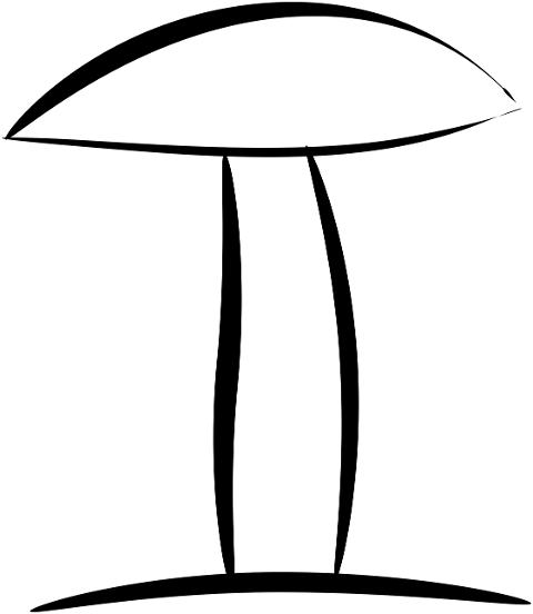 mushroom-sponge-sketch-art-fungus-7081762