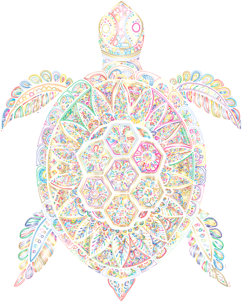 sea-turtle-animal-reptile-wildlife-9556836