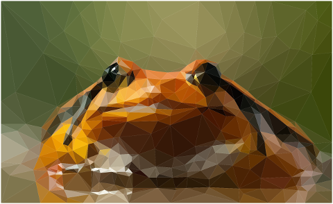 frog-amphibian-pixel-art-animal-6944787
