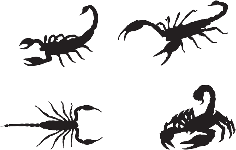 scorpions-arachnid-silhouette-7234828