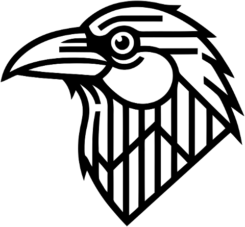 raven-head-geometric-outline-9908090