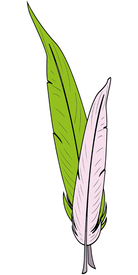 feather-quills-pens-plumage-cutout-6602768