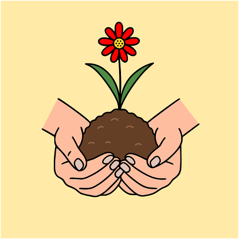 planting-hands-flower-growth-9628165