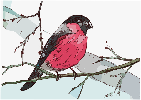 bird-ornithology-species-fauna-6968626