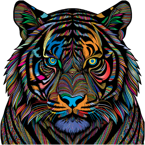 tiger-animal-feline-big-cat-head-8707317