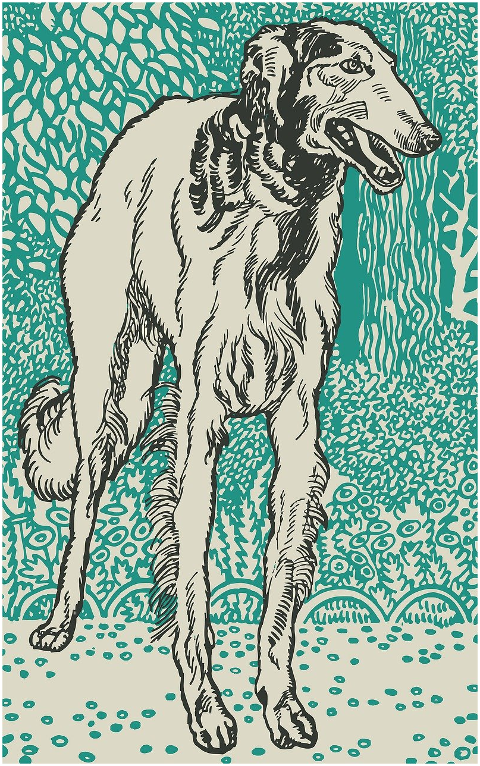 greyhound-dog-pet-animal-mammal-6053430